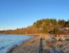 LMN_Carkeek-Park-Pedestrian-Bridge_2